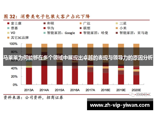马莱莱为何能够在多个领域中展现出卓越的表现与领导力的原因分析